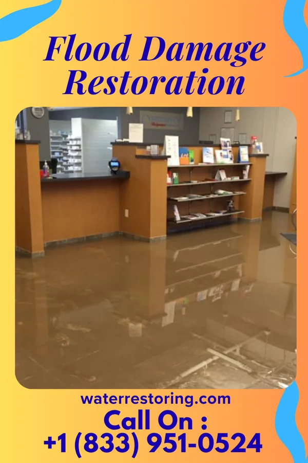 Flood Damage Restoration in Walnut Grove, MS