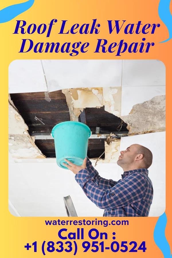 Roof Leak Water Damage Repair in Walnut Grove, MS