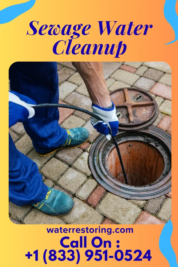 Sewage Water Cleanup in Walnut Grove, MS