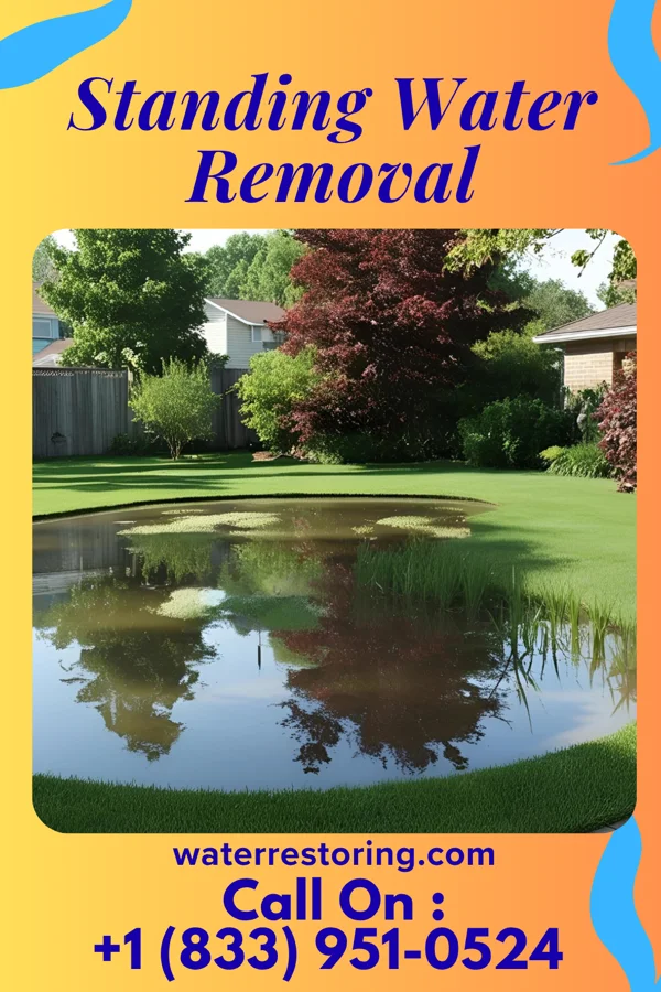 Standing Water Removal in Walnut Grove, MS